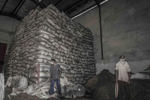 Clove buying station