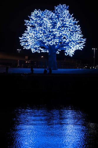 Oslo Tree