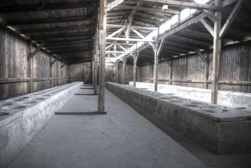 Auschwitz Berkenau