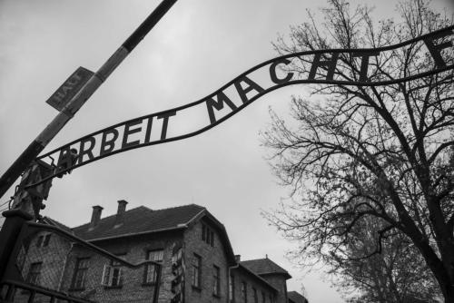 Auschwitz Berkenau