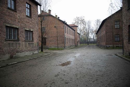 Auschwitz Berkenau