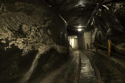 Salt Mines