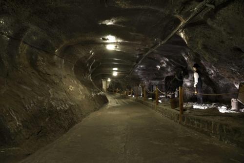 Salt Mines