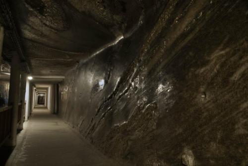 Salt Mines
