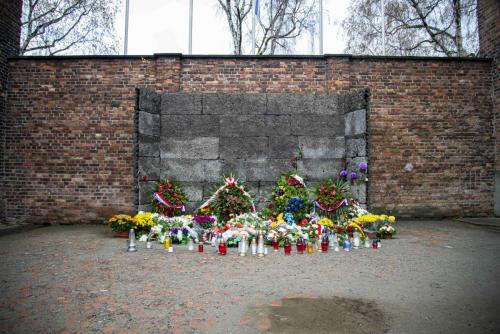 Auschwitz Berkenau