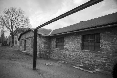 Auschwitz Berkenau