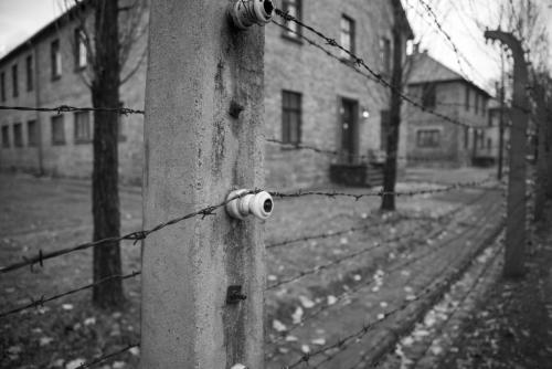 Auschwitz Berkenau