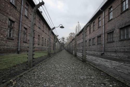 Auschwitz Berkenau